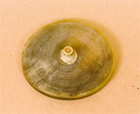 Specimen pad of horn, reverse