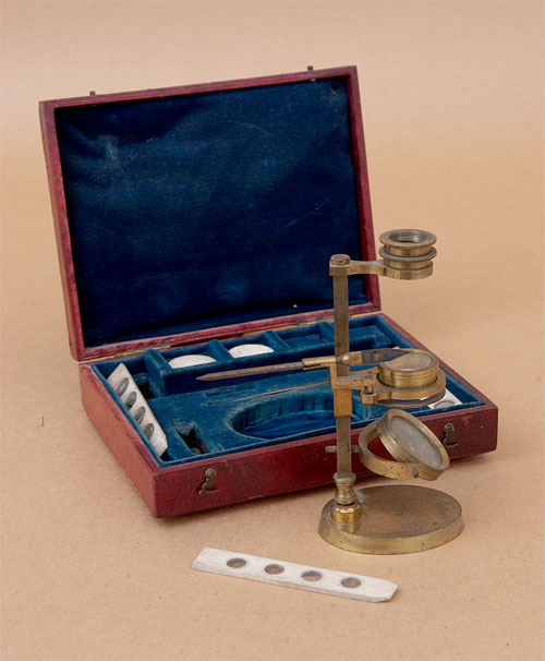 Results of Golub Collection search: Microscope No. 242