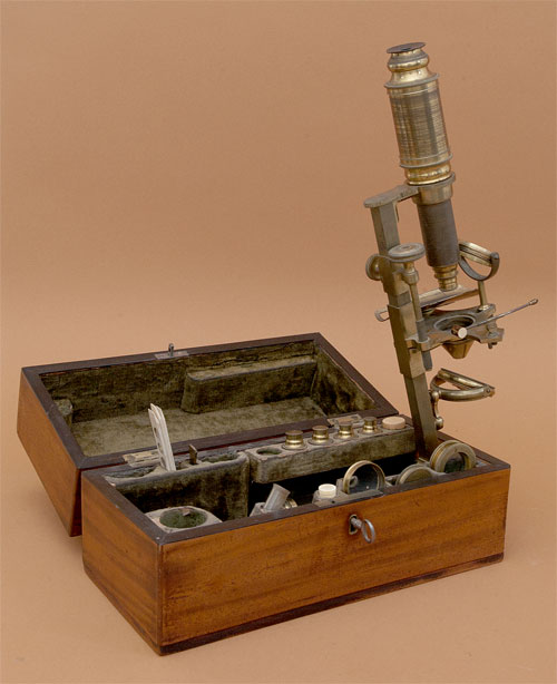 Results of Golub Collection search: Microscope No. 31