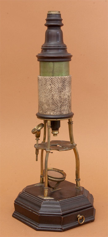 Results of Golub Collection search: Microscope No. 89
