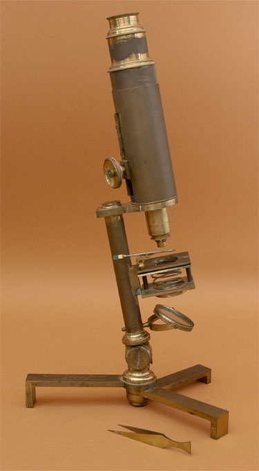 Results of Golub Collection search: Microscope No. 231