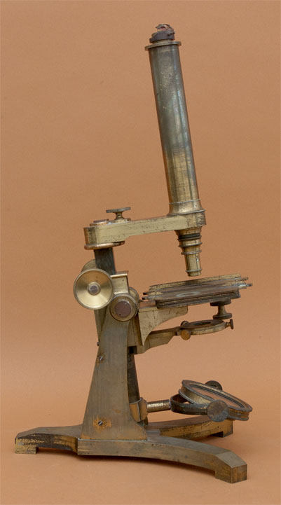 Results of Golub Collection search: Microscope No. 304