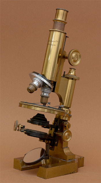 Results of Golub Collection search: Microscope No. 316