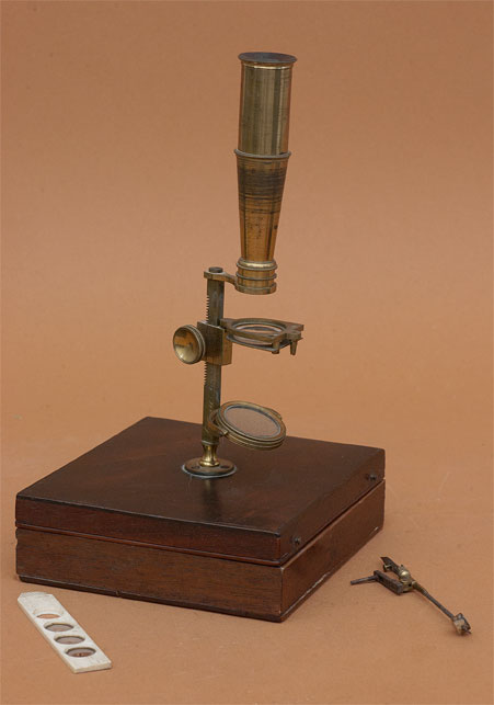 Results of Golub Collection search: Microscope No. 80